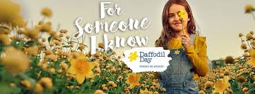 There are no products matching your filters. Cancer Council Sa Daffodil Day 26 August 2016 Sacommunity Connecting Up Australia