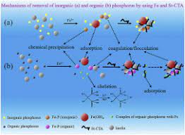 Efficient Removal Of Phosphorus From Turbid Water Using Chemical Sedimentation By Fecl3 In Conjunction With A Starch Based Flocculant Sciencedirect