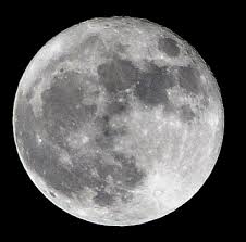 Explore fotografías e imágenes de alta resolución de hojas de rosa sin royalties. Supermane Wikipedia