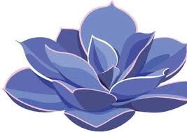 New Times, Dec. 22, 2022 by New Times Media Group, San Luis Obispo