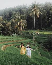 Datang di pagi hari untuk mendapatkan sensasi perjalanan yang tak. 15 Destinasi Wisata Majalengka Yang Harus Kamu Kunjungi