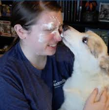 Is the questing guild tent returning to the PA Renaissance Faire this year?