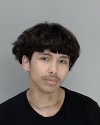 LOPEZ SAMUEL , Age: 17, Charges:, Charge Code: 23990008, Charge  Description: THEFT OF FIREARM, Charge Date: 03/19/2025 07:00:00 UTC, Bond  Type: NO_BAIL, Bond Amount: Currently Unavailable, Disposition ...