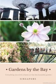Gardens By The Bay Singapore Gardens By The Bay Singapore Travel Tips Singapore Garden