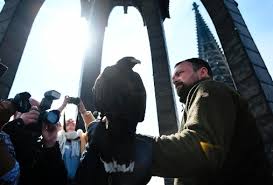 Wenn vögel in kunst nisten. Tauben Vertreiben So Halten Sie Die Vogel Vom Balkon Und Fenster Fern