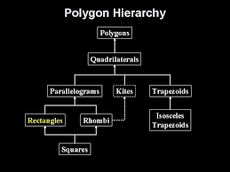 Unit 7 polygons & quadrilaterals homework 6: Lesson 8 4 Rectangles 5 Minute Check On