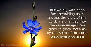 Three bowls made like unto almonds, with a knop and a flower in one branch; 13 Bible Verses About Transformation Kjv Dailyverses Net