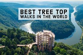 Walk through the tree tops of the 130 year old birch forest at egeskov castle in denmark. 19 Best Tree Top Walks And Canopy Walkways In The World
