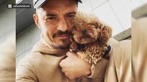 Jun 24, 2021 · yesterday she posted and quickly deleted that she was with her tattoo artist. Nur Halsband Gefunden Orlando Bloom Nimmt Mit Liebestattoo Abschied Von Hund Mighty