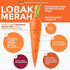Bukan sahaja lazat, khasiat yang terkandung dalam lobak merah sangatlah banyak, berdasarkan kandungan nutrisi yang terdapat dalam sayur ini. Khasiat Dan Kebaikan Lobak Pusat Rawatan Buasir Sidaq Facebook