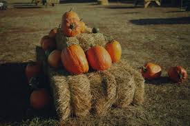 Image result for tbn:0PJB32OL7JwfOM::farm4.static.flickr.com/3324/3329876139_f2d551139f.jpg