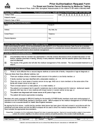 If people consider the numerous dangers to their health that smoking can cause, they may think twice about. Health New England Prior Authorization Form Fill Online Printable Fillable Blank Pdffiller