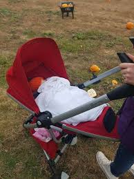 The quinny cup holder is suitable for the quinny buzz, quinny zapp xtra, quinny moodd and quinny zapp strollers. Sunday Review Quinny Zapp Xtra 2 With Birth Inlay