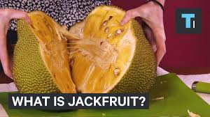 What Is Jackfruit Youtube