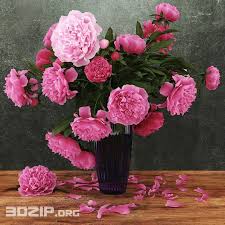 3d Flower Vase Model 48 Free Download Flower Vases Vase Plant Decor
