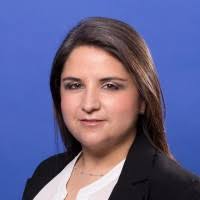 80+ perfiles de «Bulnes»