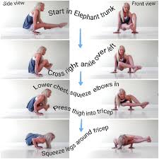 Catsflowseries Day 5 Elephant Trunk To 8 Angle Pose Posting Early For Tomorrow Today We Add On An Yoga Poses Advanced Advanced Yoga Hot Vinyasa Yoga