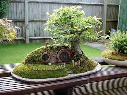Bonsai Miniature Garden Here In The Midwest This Would Be Called A Miniature Earth House Fairy Garden Miniature Garden Plants