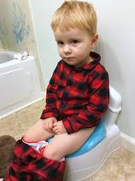Potty training boys can be challenging but it is not impossible. Oh Crap Potty Training Method An Easy And Efficient Way To Potty Train Your Toddler Twin Mom And More