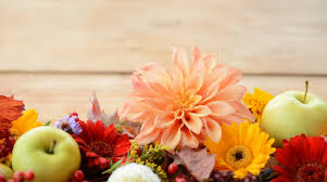 Questo fiore ha bisogno di luce, ma non. 5 Fiori Da Piantare A Settembre Fito