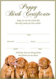 Dog birth certificates barca fontanacountryinn com. Puppy Birth Certificate French Mastiff De Bordeaux Etsy