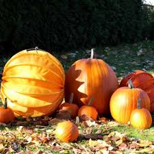 Lampion Von Barlooon Lampions Herbst Kurbisse Herbst Dekoration