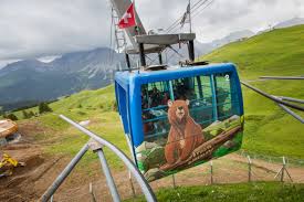 The three brown bears napa, amelia and meimo were freed from unspecies in cooperation with the animal welfare organization four paws and have found a new, protected home in the arosa bärenland. Das Arosa Barenland Hat Seinen Ersten Baren Wild Beim Wild