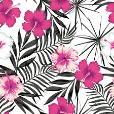 Flowers wallpapers hd sort wallpapers by: Pink White Hibiscus Flowers On A Black And White Background Of Leaves Seamless Vector Beach Wallpaper Pattern Royalty Free Cliparts Vectors And Stock Illustration Image 83232169