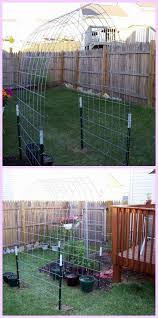 Diy Cattle Panel Squash Arch Tutorial Diy Garden Trellis Backyard Trellis Squash Trellis