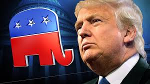 Image result for donald trump president