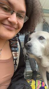 Is anyone missing a yellow lab in the area?