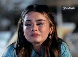 Personal relationship and interactions discussion