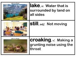 Ckla Core Knowledge Preschool Domain 5 Habitats Preschool Vocabulary Knowledge Vocabulary Cards