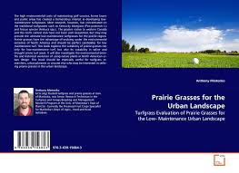 This is the king of the prairie grasses, reaching to the skies and sending its roots deep. Prairie Grasses For The Urban Landscape 978 3 639 15684 3 3639156846 9783639156843 By Anthony Mintenko