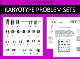 Karyotyping is one of many techniques that allow us to look for several thousand possible genetic diseases in humans. Genetic Disorders Mutations Karyotype Problem Sets Worksheets Teaching Resources