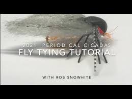 Fly fishing with spinning gear may sound a bit funky at first, but it's one deadly trout technique! Tying Brood X Periodical Cicadas Version 1 Youtube
