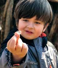 Plant. Nurture. Bloom.