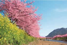 47k likes · 1,422 talking about this. æ²³æ´¥æ¡œã¾ã¤ã‚Š 2021å¹´ã¯ä¸­æ­¢ é–‹èŠ±æ™‚æœŸã‚„åæ‰€æƒ…å ±ã‚'ç´¹ä»‹ æ¡œåæ‰€ ãŠèŠ±è¦‹ç‰¹é›†2021 ã‚¦ã‚©ãƒ¼ã‚«ãƒ¼ãƒ—ãƒ©ã‚¹