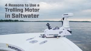 4 reasons to use a trolling motor in saltwater