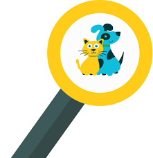 Manchester Terrier Adoption in Utah: Manchester Terrier Puppies for Sale in  Utah