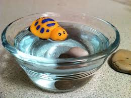 2. balance: sinking and floating