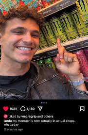 Monstera White Monster