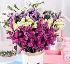 Has been providing quality dried flowers to small and large businesses since 1999. Tooget Natural Dried Flowers Forget Me Not Bouquet Myosotis Sylvatica Bundles Real Freshly Harvested Dry Flower Bunch Arrangements Decorate For Home Party Wedding Store Mixed Color Buy Online In Bosnia And Herzegovina