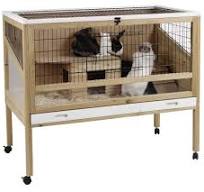 Cage intérieure en bois pour lapins, hamsters, cochons d'inde