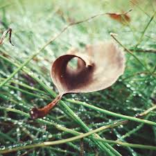 Special pentru turiştii români, ungurii, renumiţi penru greutatea cu care vorbesc limbi străine, au învăţat să vorbească româneşte. Hd Wallpaper Romania VÄƒliug Ponton Casa Baraj Leaf Autumn Fall Amazing Wallpaper Flare