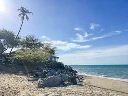 Check spelling or type a new query. Brasilien Urlaub In Ceara Schone Strande Aktivitaten Rund Um Fortaleza