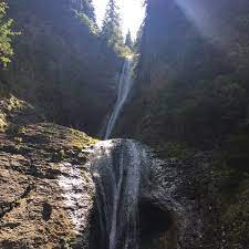 Cascada duruitoarea este una dintre cele mai vizitate atractii turistice din parcul national ceahlau. Cascada Duruitoarea Forest In Durau