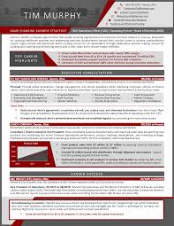 portfolio career executive resume sample