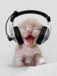 Pin By Night Music Dj Fizzy Cat Pho On Just Because Cute Animals Cute Baby Animals Kittens Cutest