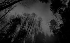 1920x1080 best hd wallpapers of dark, full hd, hdtv, fhd, 1080p desktop backgrounds for pc & mac, laptop, tablet, mobile phone category: Download Free Hd Dark Nature Black Background Hd Wallpaper 1408x880 Wallpaper Teahub Io